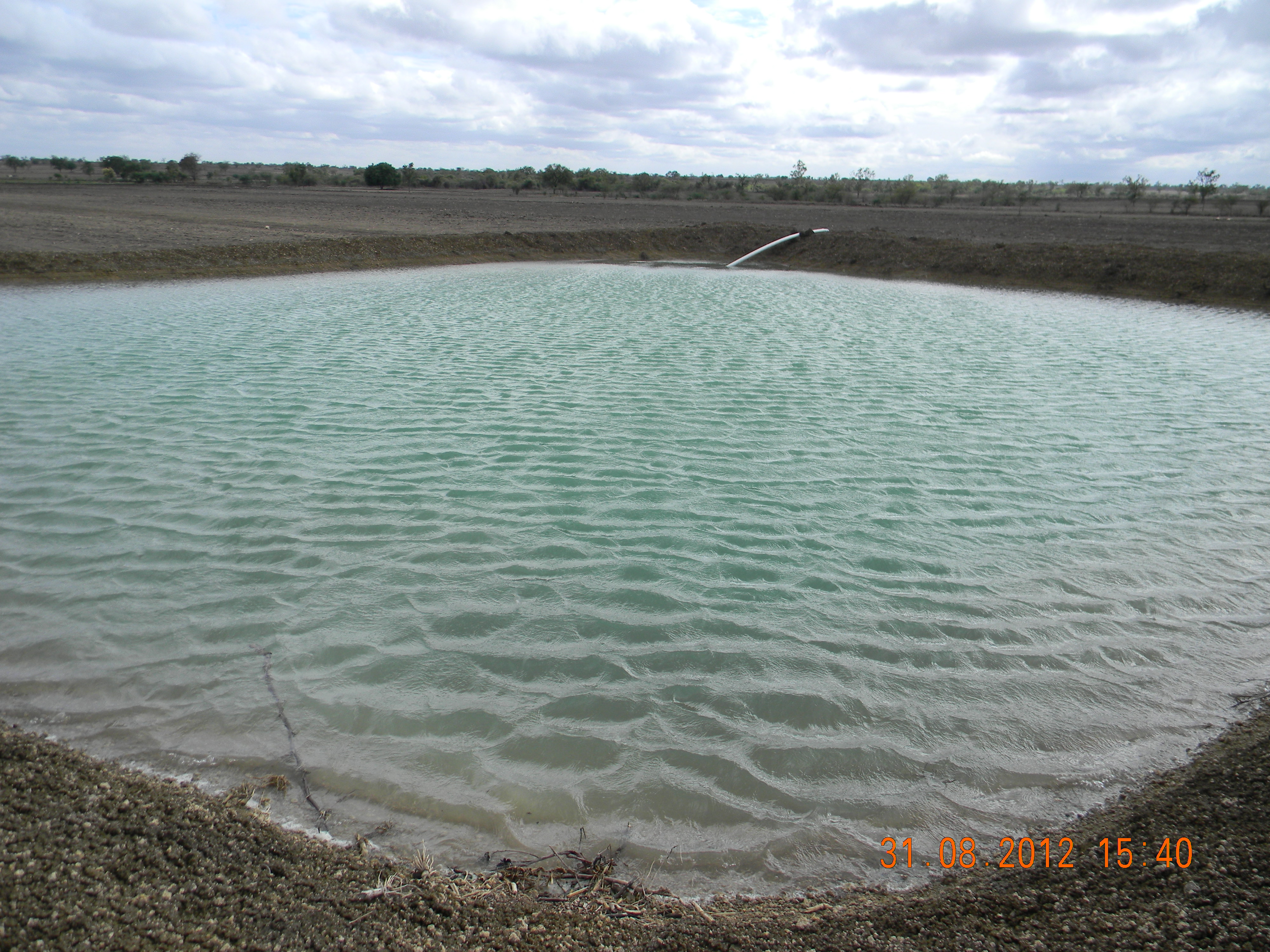 Farm Pond